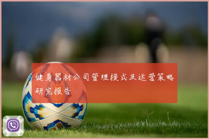 健身器材公司管理模式及运营策略研究报告