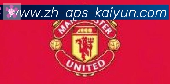 开云APP合作伙伴